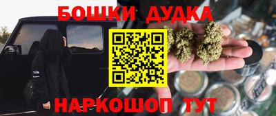 крисы Будённовск