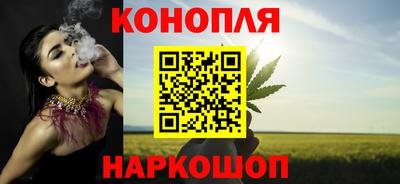 крисы Будённовск