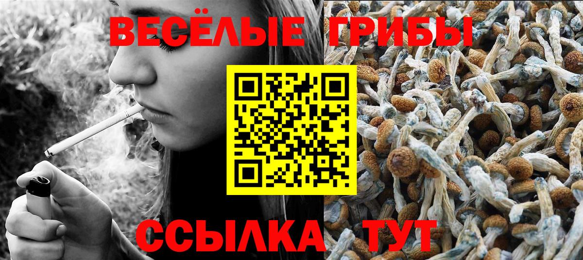 NBOMe  Канабис  МДМА  Кокаин  Вейп ТГК  Северск  Вход с VPN  ГАШИШ  Меф  